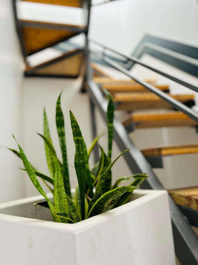 Hillview Duplex Penthouse Apartment *